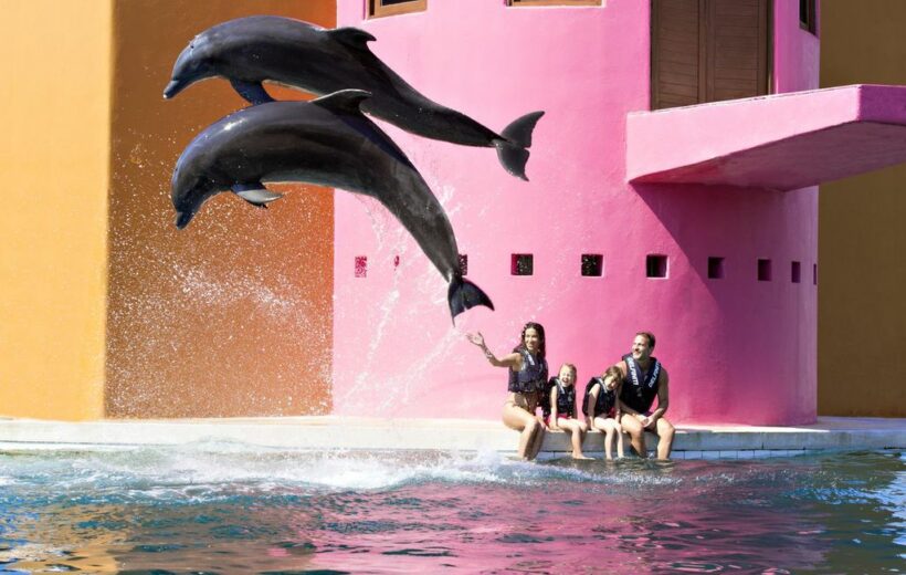 ENCUENTRO CON DELFINES