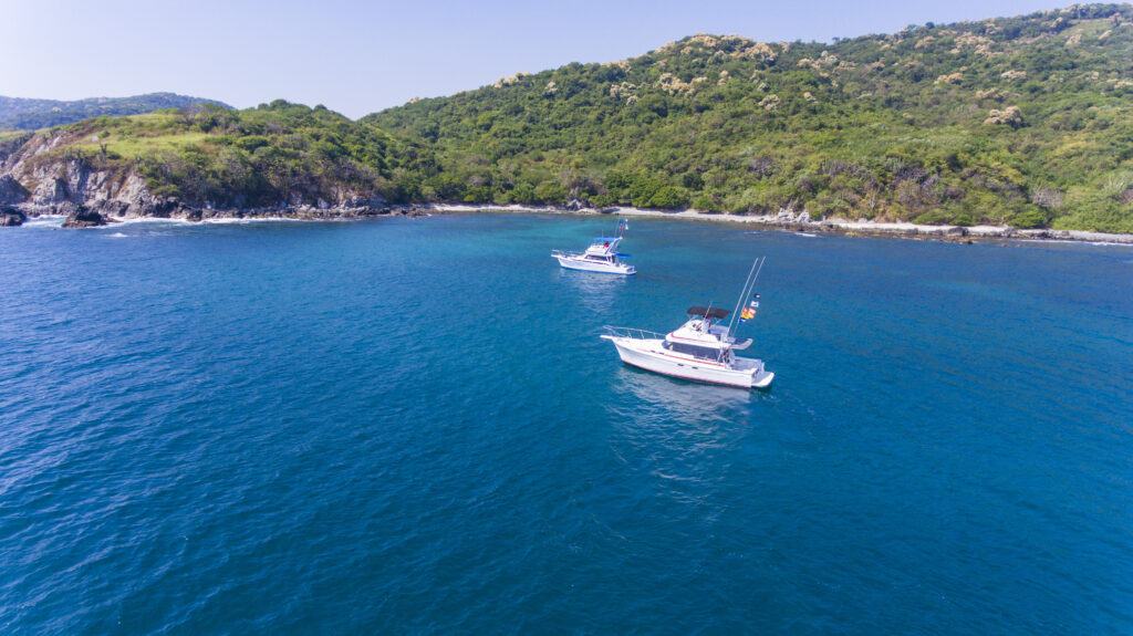 Private Boat Charters: Your Custom Sea Adventure