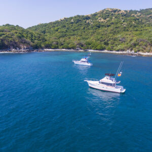 Private Boat Charters: Your Custom Sea Adventure