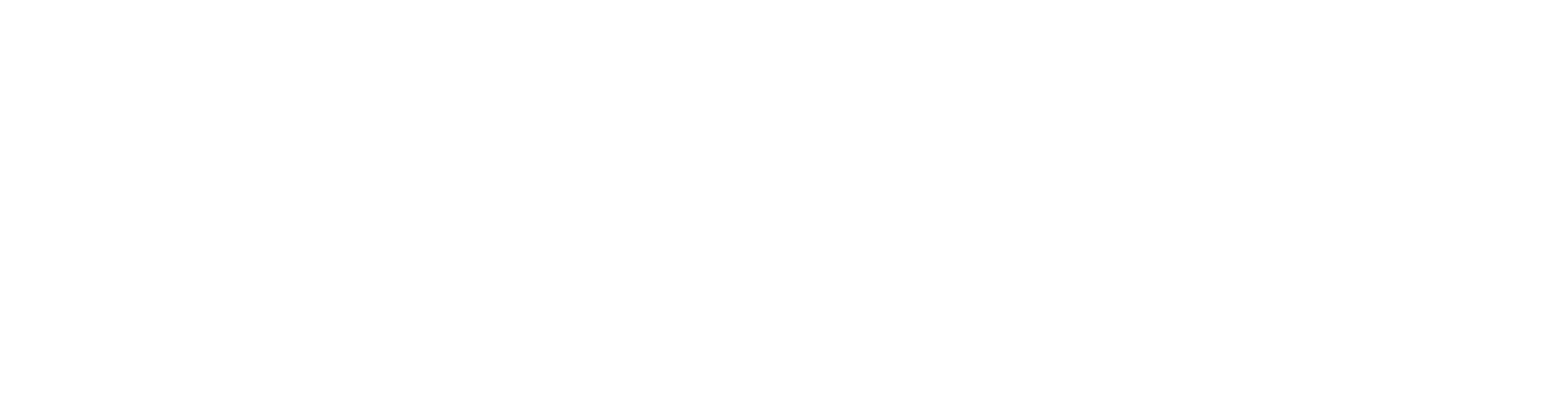 Sunnyside DMC Services