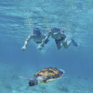 Tulum, Turtle, Cenote & Beach Club