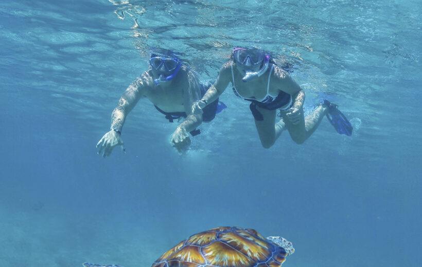 Tulum, Turtle, Cenote & Beach Club