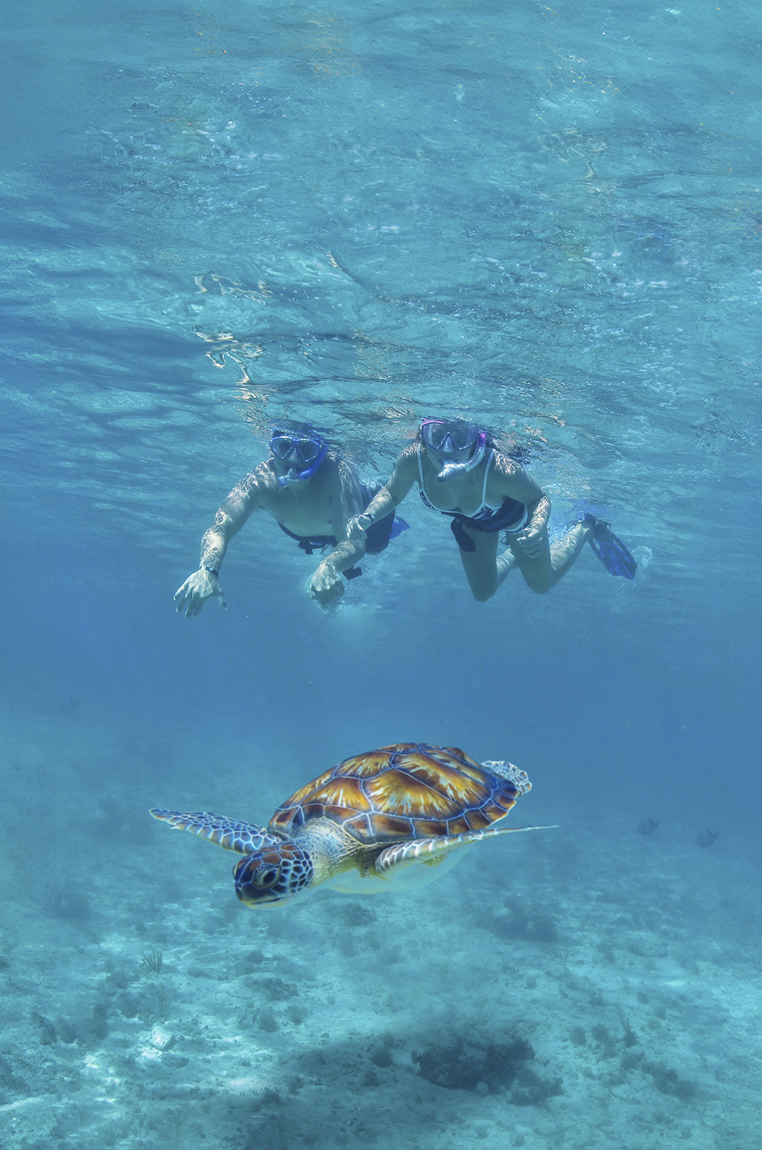Tulum, Turtle, Cenote & Beach Club