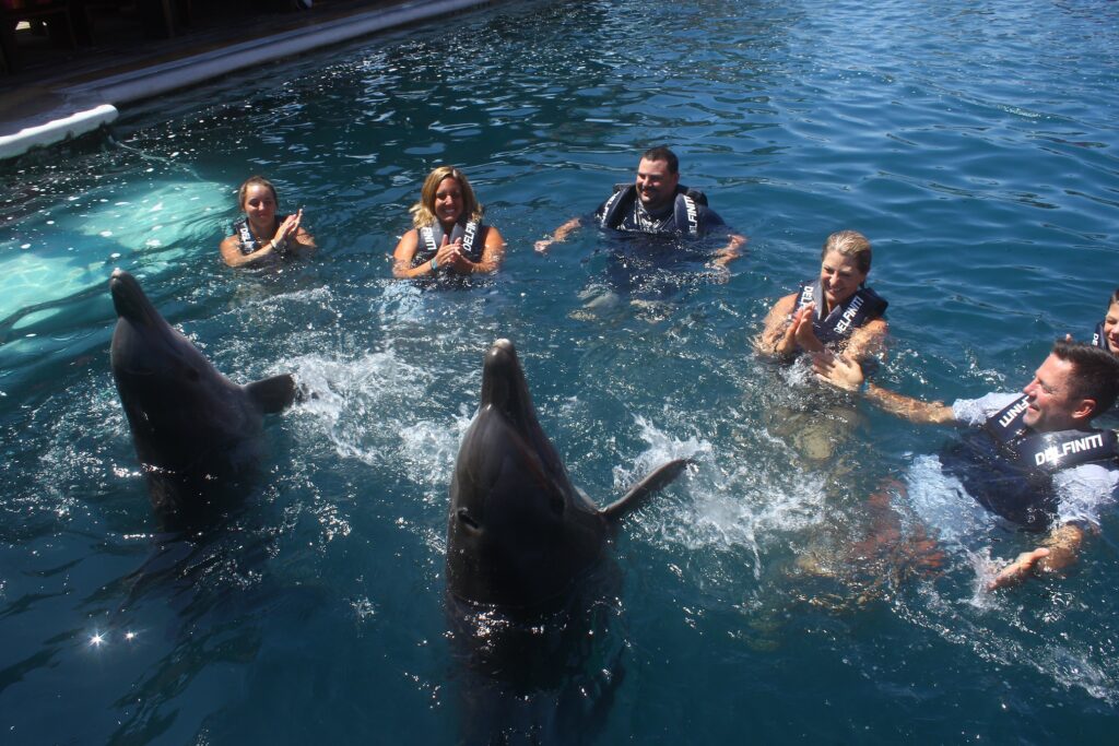 Dolphin Experiences Delfiniti Ixtapa