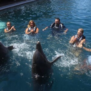Dolphin Experiences Delfiniti Ixtapa