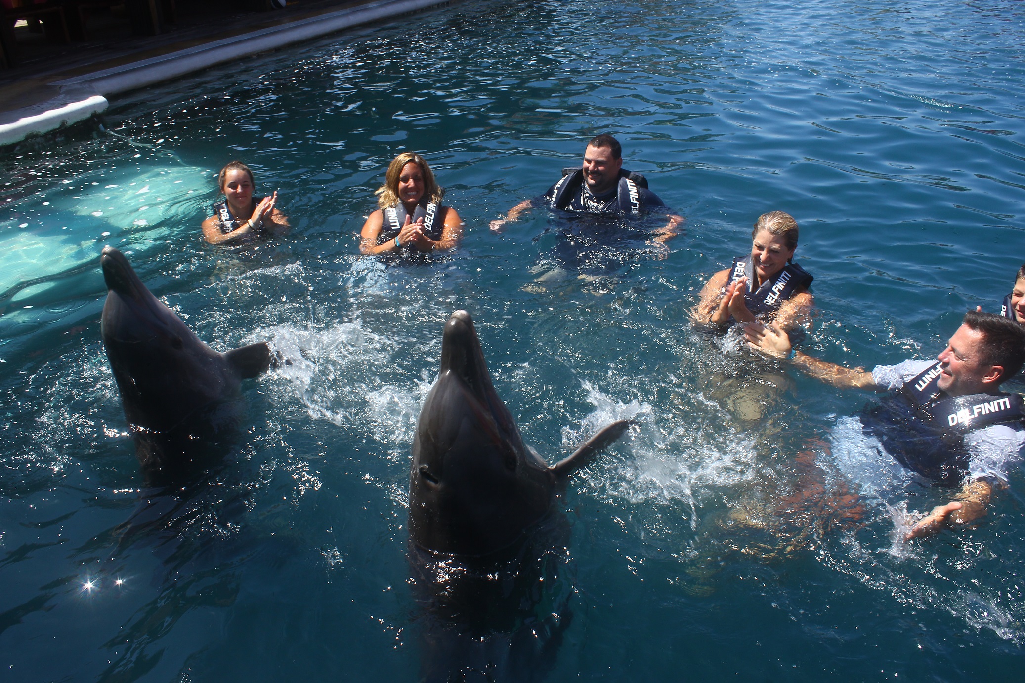 Dolphin Experiences Delfiniti Ixtapa